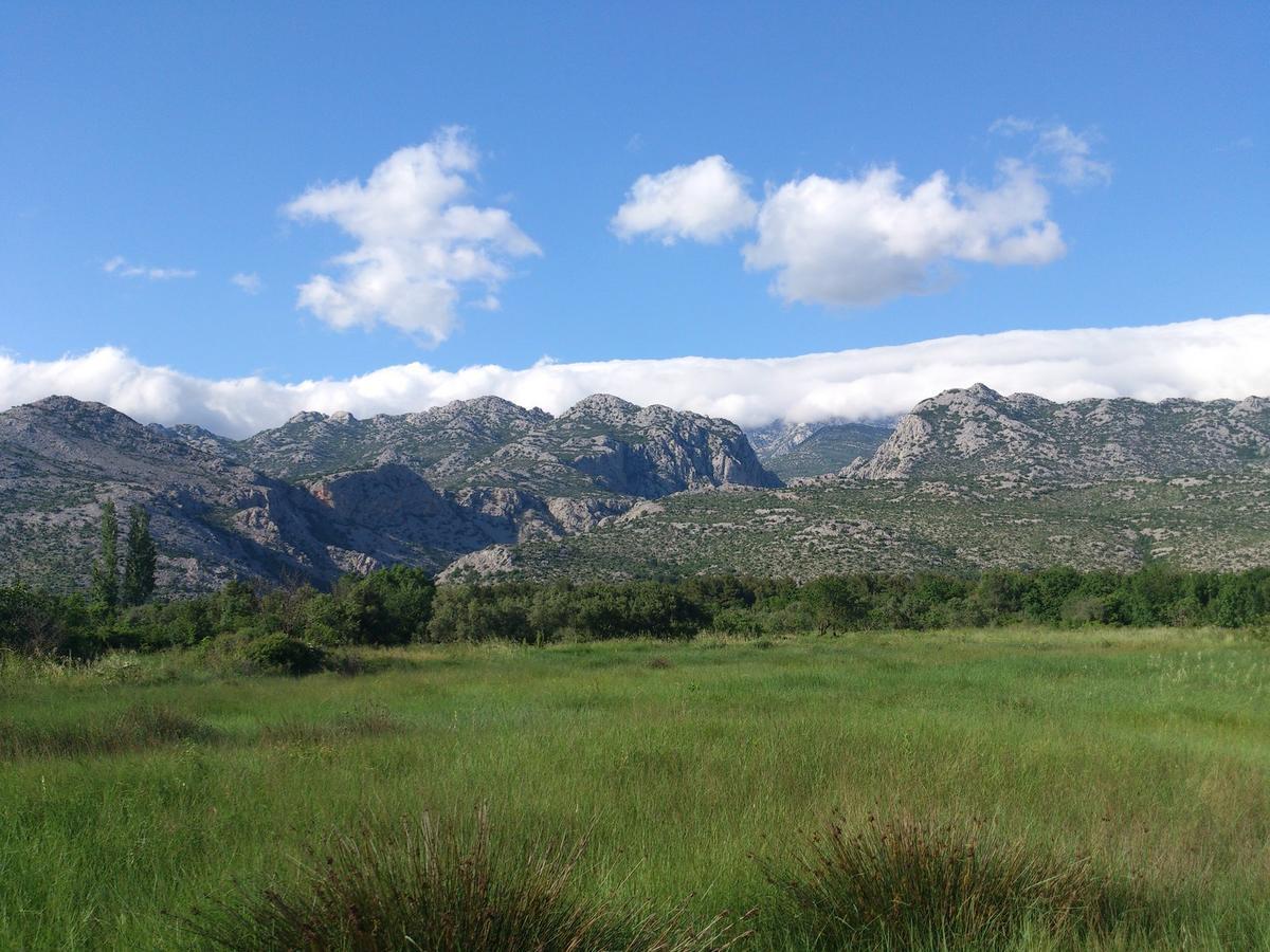 Amari Lägenhet Starigrad Paklenica Exteriör bild