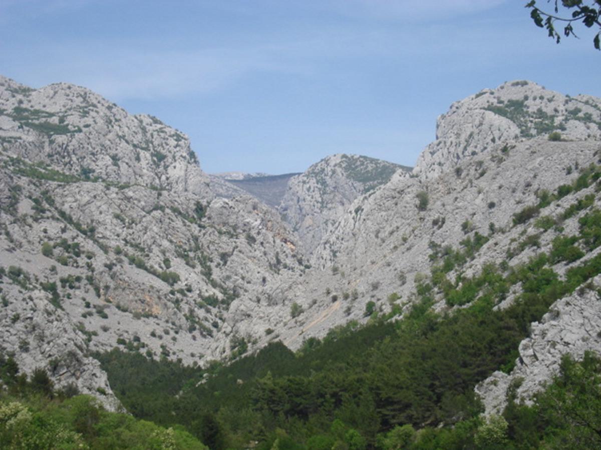 Amari Lägenhet Starigrad Paklenica Exteriör bild
